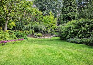 Optimiser l'expérience du jardin à Ligny-les-Aire